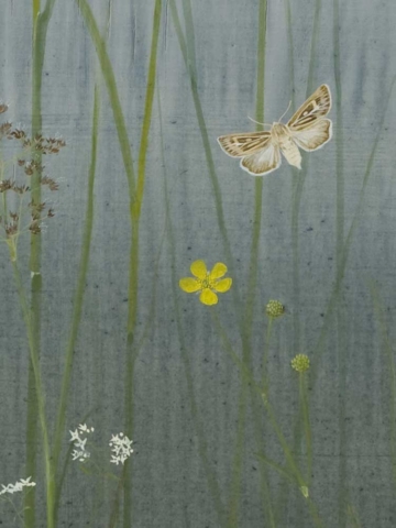 The Edge of the Marsh, detail: Antler Moth by Lil Tudor-Craig. Environmental Artist, Lampeter Wales