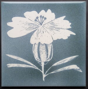 Ann Clark (Ann Wynn Reeves) sgraffito one-off original "Campion"